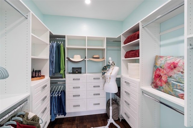 spacious closet with dark wood-style flooring