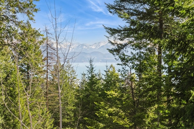 156 Wulff Ln, Lakeside, MT 59922 - view of mountain background