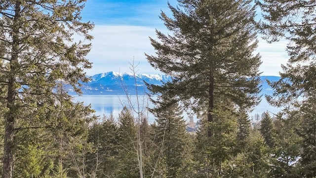 water view featuring a mountain view