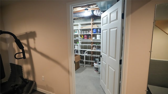 view of storage room