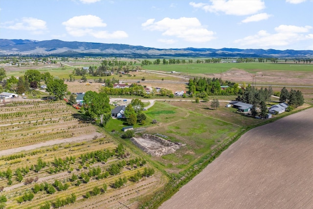 245 Olde Rd, Hamilton, MT 59840 - view of rural area with a mountain backdrop and abundant farmland