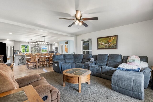 245 Olde Rd, Hamilton, MT 59840 - living room with ceiling fan and light wood-style flooring