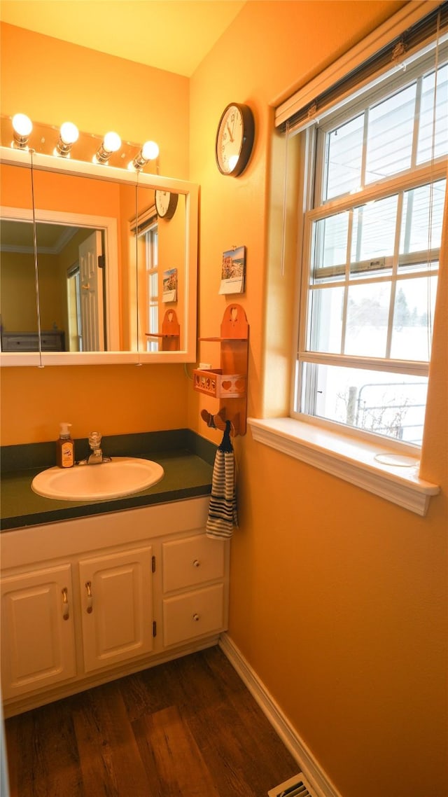 bathroom featuring wood finished floors, vanity, and baseboards