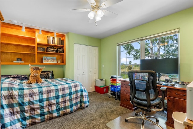 245 Olde Rd, Hamilton, MT 59840 - bedroom featuring dark colored carpet, a closet, rail lighting, an office area, and a ceiling fan