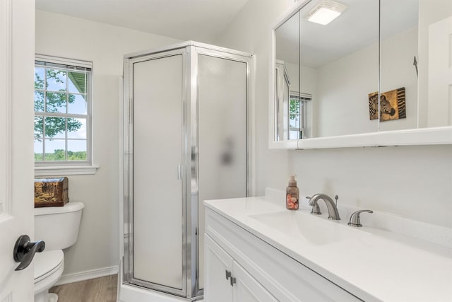 245 Olde Rd, Hamilton, MT 59840 - bathroom featuring toilet, vanity, a stall shower, wood finished floors, and baseboards