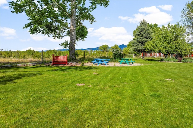 245 Olde Rd, Hamilton, MT 59840 - view of green lawn