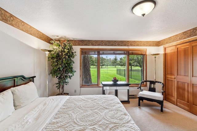 99 Golf Ter, Bigfork, MT 59911 - bedroom featuring light colored carpet, baseboard heating, and a textured ceiling
