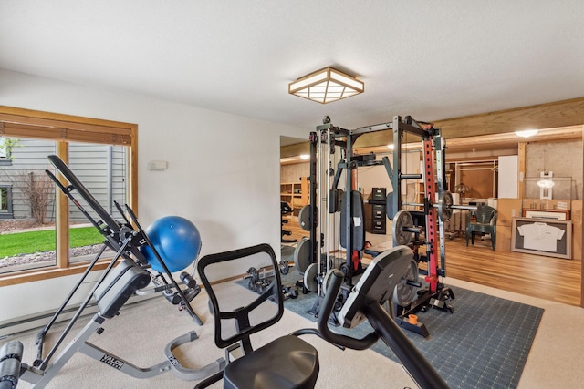 99 Golf Ter, Bigfork, MT 59911 - view of workout area