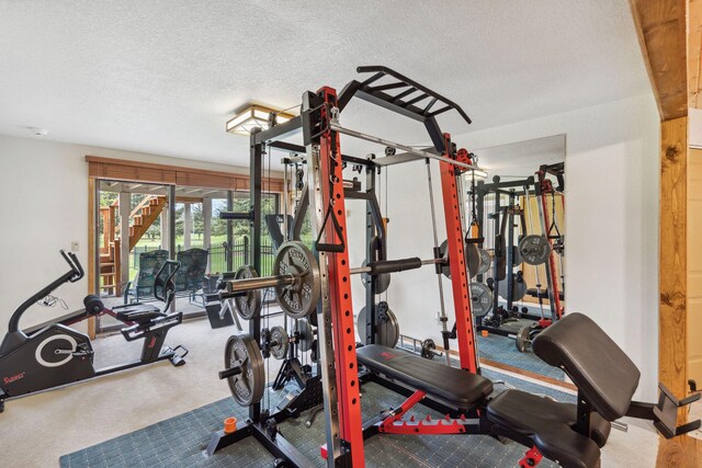 99 Golf Ter, Bigfork, MT 59911 - workout room with carpet, a textured ceiling, and baseboards