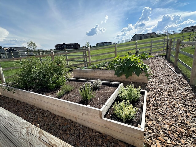 view of yard featuring a rural view, fence, and a vegetable garden