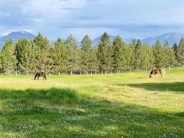 view of home's community featuring a rural view and a mountain view