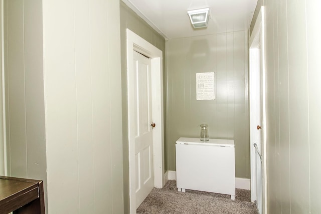 bathroom featuring wooden walls