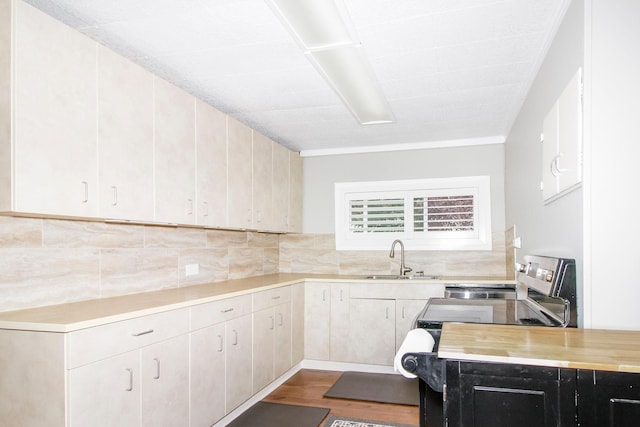 kitchen with dark wood-style floors, tasteful backsplash, a sink, and crown molding