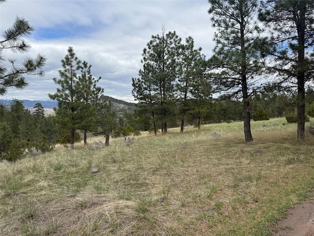 6220 Elkhorn Rd, Helena, MT 59602 - view of local wilderness featuring a mountain view