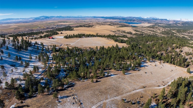 birds eye view of property with a mountain view