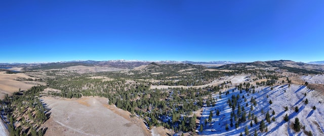 bird's eye view featuring a mountain view