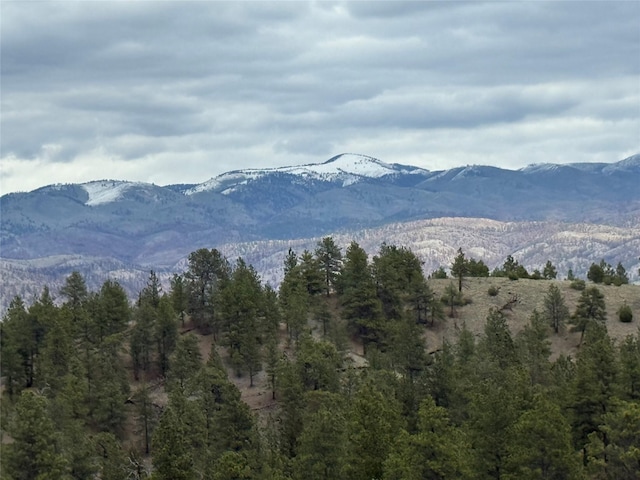 6220 Elkhorn Rd, Helena, MT 59602 - view of mountain feature with a wooded view