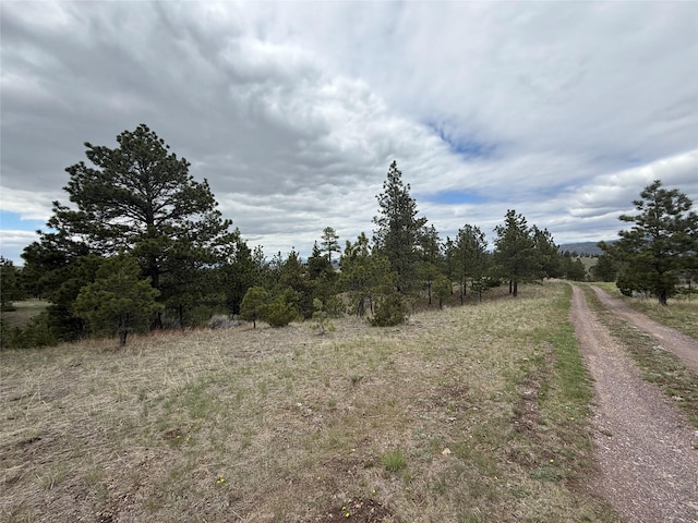 6220 Elkhorn Rd, Helena, MT 59602 - view of local wilderness