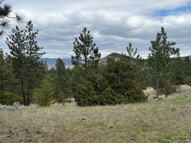 6220 Elkhorn Rd, Helena, MT 59602 - view of mountain feature with a forest view