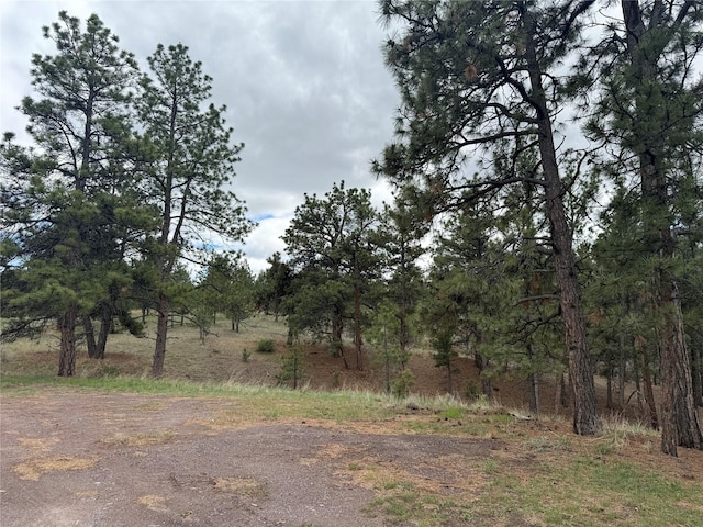 6220 Elkhorn Rd, Helena, MT 59602 - view of local wilderness
