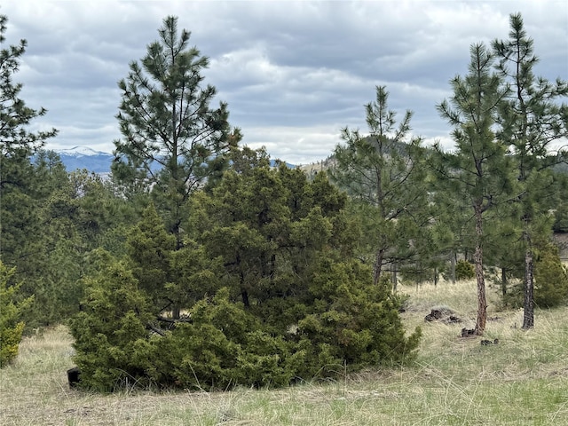 6220 Elkhorn Rd, Helena, MT 59602 - view of landscape featuring a view of trees