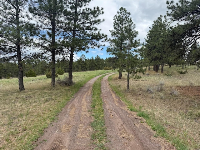 6220 Elkhorn Rd, Helena, MT 59602 - view of street