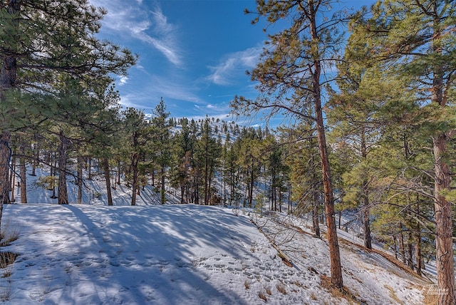 6220 Elkhorn Rd, Helena, MT 59602 - view of yard covered in snow