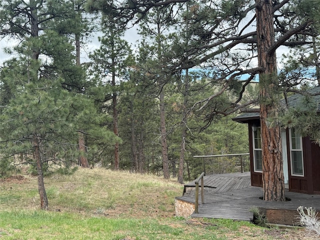6220 Elkhorn Rd, Helena, MT 59602 - view of yard featuring a view of trees and a wooden deck