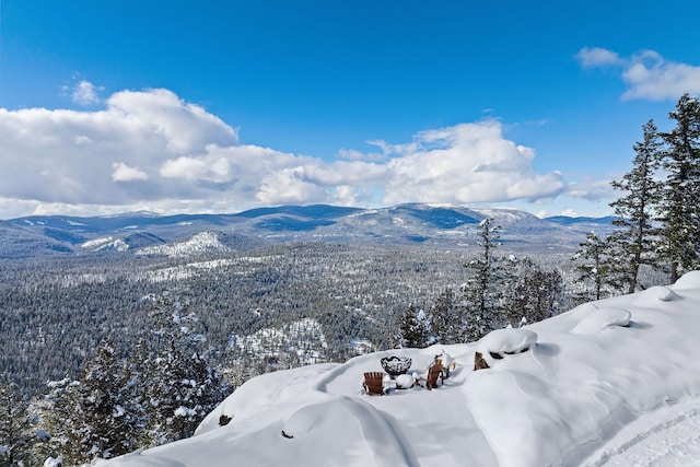 75 Meadows Dr, Whitefish, MT 59937 - mountain view
