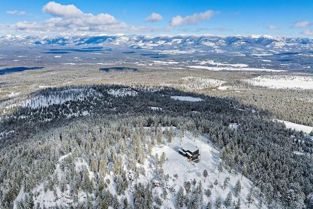 75 Meadows Dr, Whitefish, MT 59937 - snowy aerial view with a mountain view and a wooded view