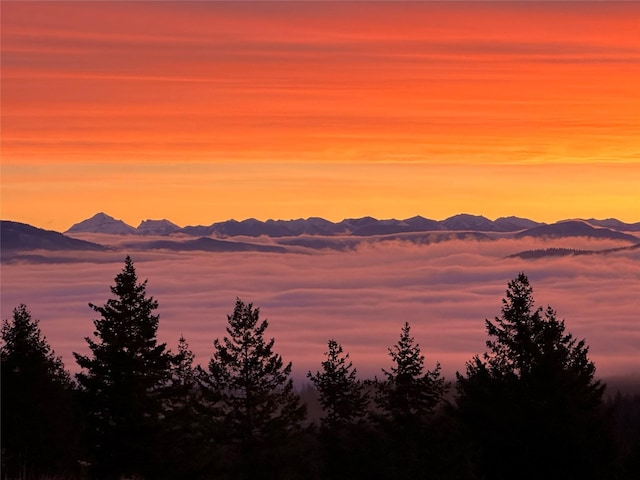 75 Meadows Dr, Whitefish, MT 59937 - view of mountain background