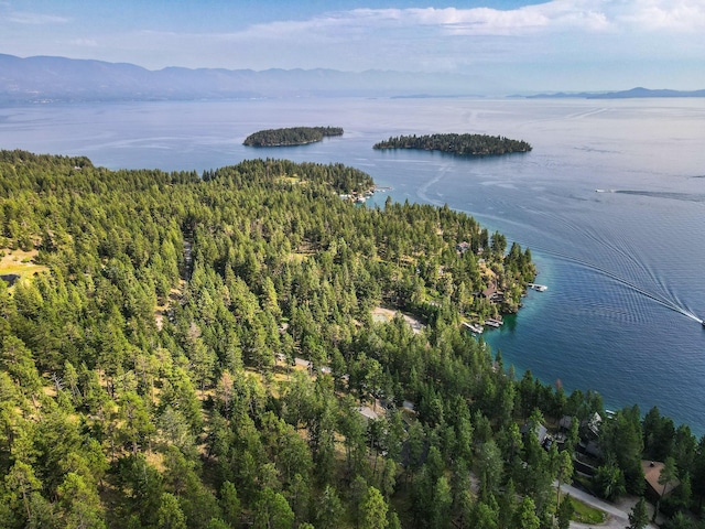 aerial view featuring a water and mountain view and a wooded view