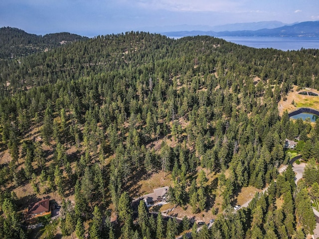 birds eye view of property with a water and mountain view and a view of trees