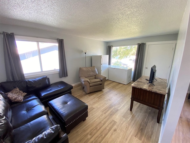 living area featuring a textured ceiling, baseboards, and light wood-style floors