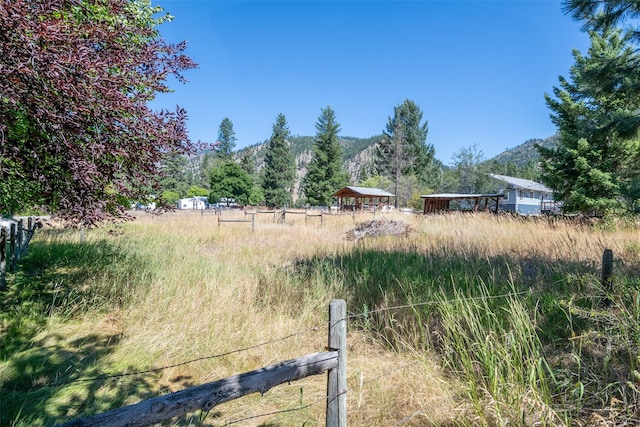 view of yard with a mountain view and a rural view