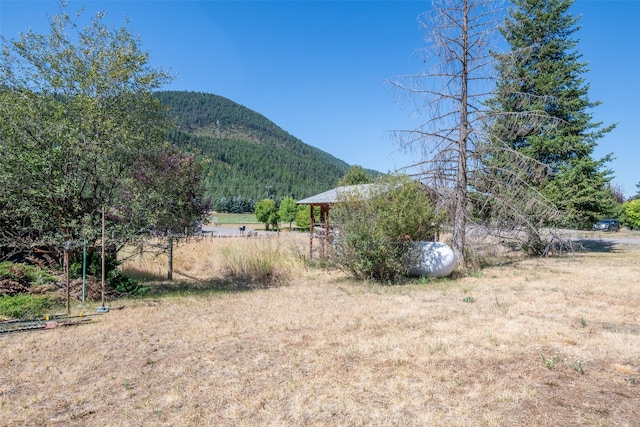 view of yard featuring a mountain view