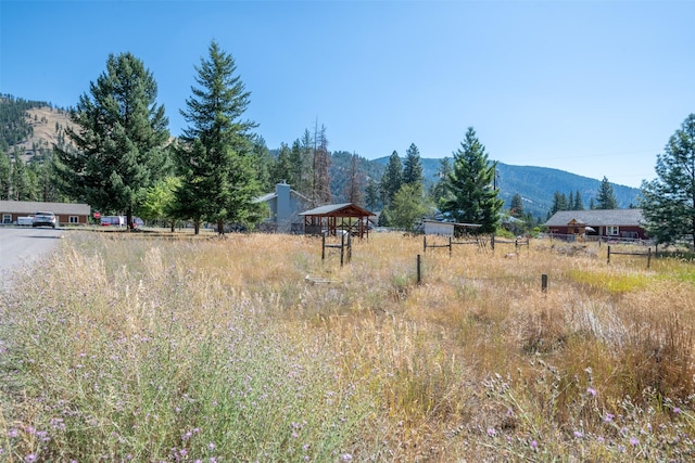 view of yard featuring a mountain view