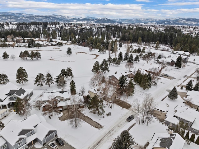 snowy aerial view with a residential view and a mountain view