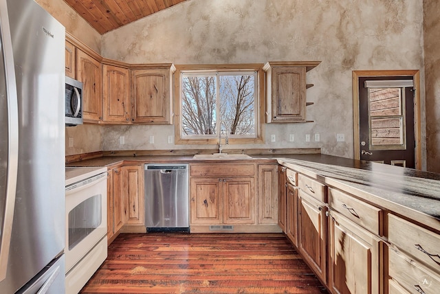 3 Paradise Ridge Rd, Clancy, MT 59634 - kitchen featuring appliances with stainless steel finishes, a sink, wooden ceiling, lofted ceiling, and dark wood-style flooring