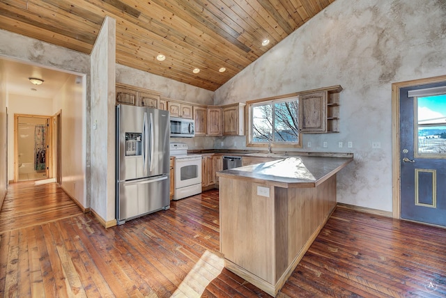 3 Paradise Ridge Rd, Clancy, MT 59634 - kitchen featuring stainless steel appliances, a peninsula, dark wood finished floors, plenty of natural light, and high vaulted ceiling