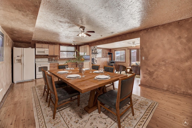 3 Paradise Ridge Rd, Clancy, MT 59634 - dining space featuring ceiling fan, light wood finished floors, and a textured ceiling