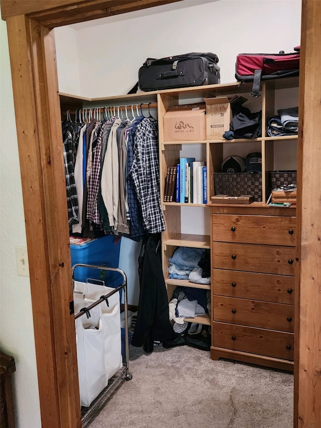 walk in closet featuring carpet flooring