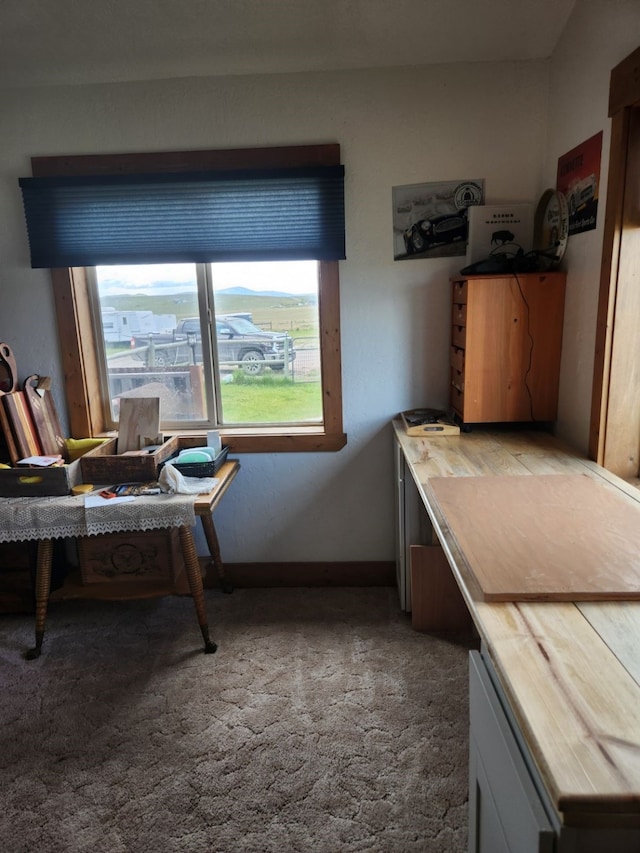 interior space with baseboards, carpet floors, and a healthy amount of sunlight