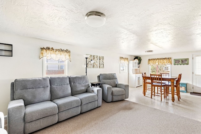 living room with a textured ceiling