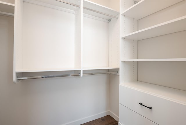 spacious closet featuring dark wood-style flooring