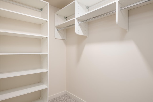 walk in closet featuring carpet flooring