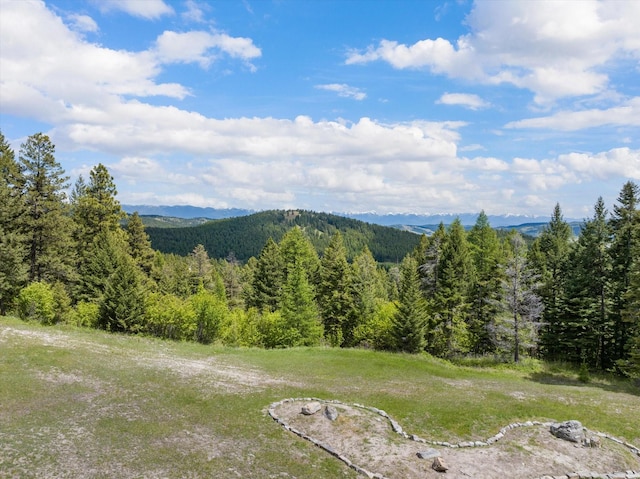 mountain view featuring a wooded view