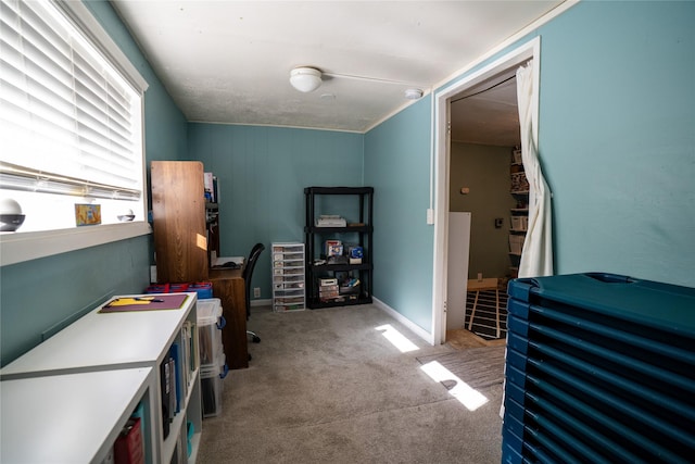 office area featuring carpet flooring