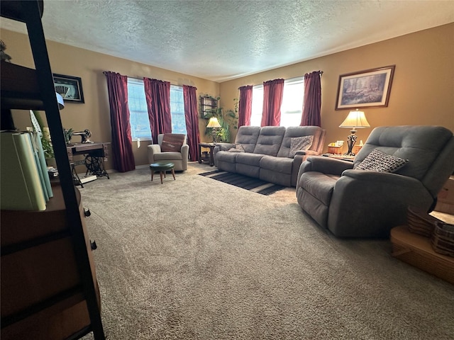 carpeted living area with a textured ceiling