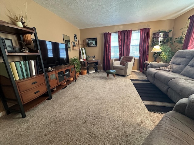 carpeted living area featuring a textured ceiling